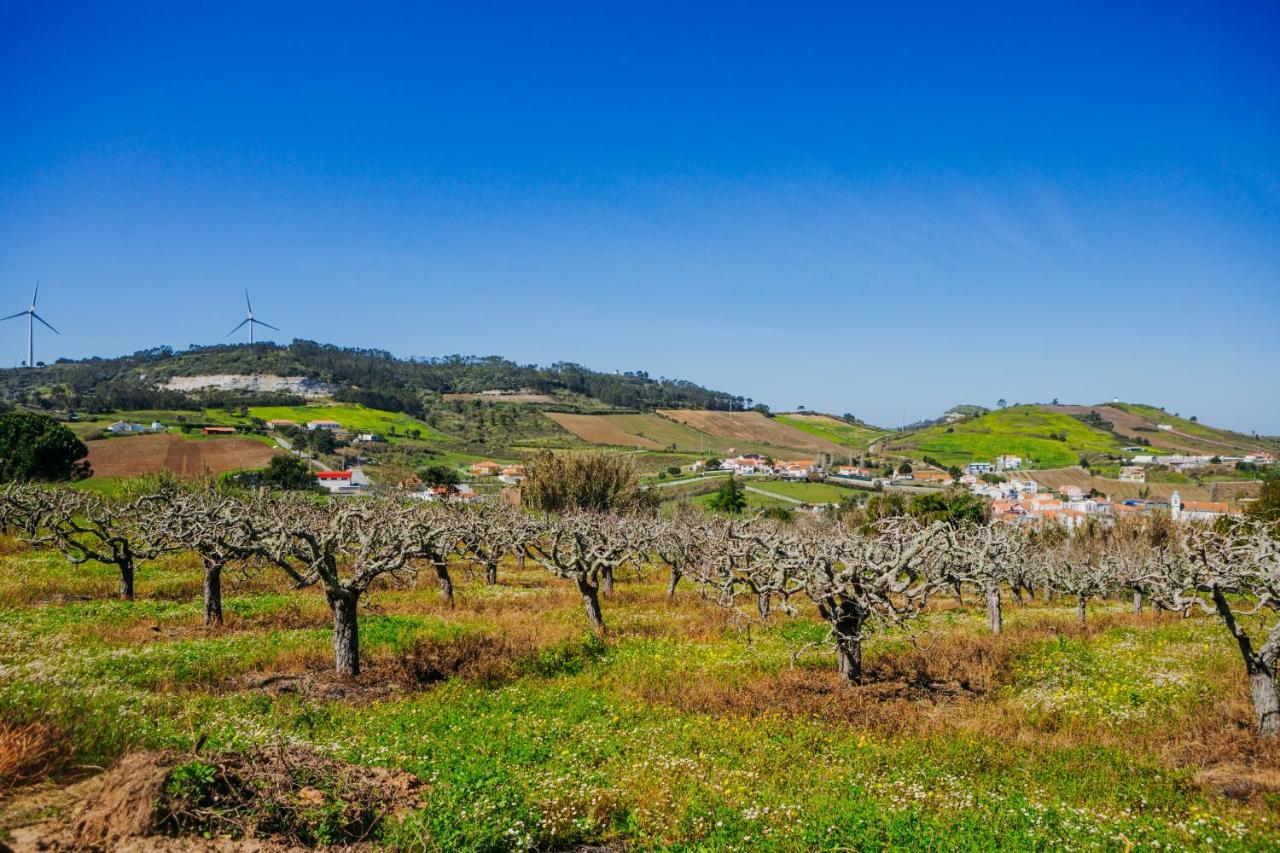 Traditional Portuguese Village House - Casa Martins No 52 Freiria Buitenkant foto