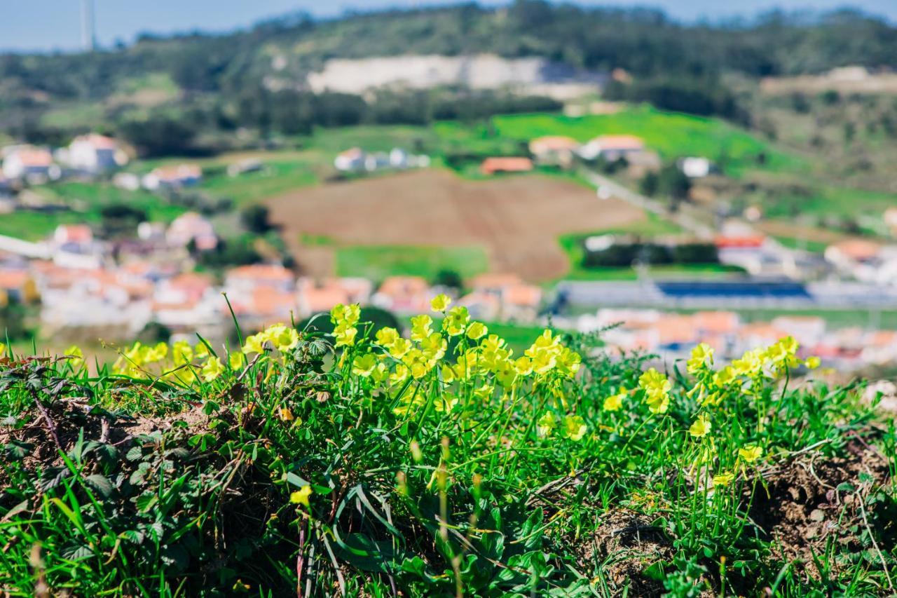 Traditional Portuguese Village House - Casa Martins No 52 Freiria Buitenkant foto