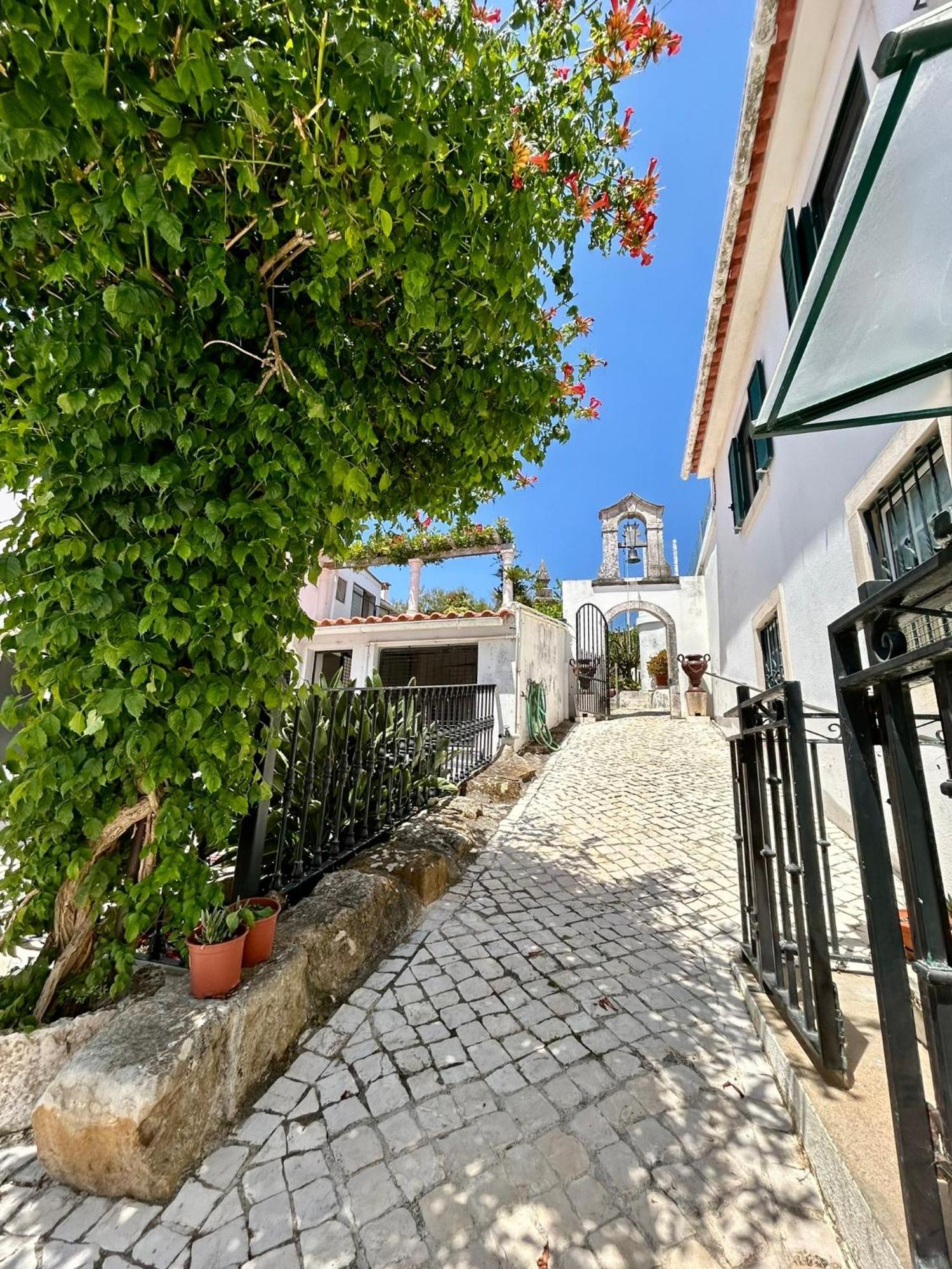 Traditional Portuguese Village House - Casa Martins No 52 Freiria Buitenkant foto